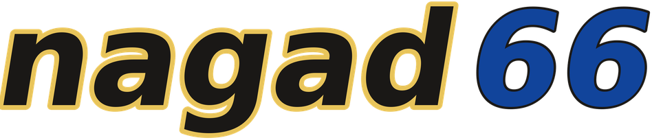 nagad66 logo